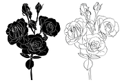 Bunch of Roses, an Object Graphic by VictoriaKStudio (Thumbnail 4 of 8)