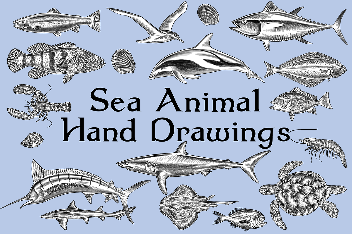 Hand Drawn Fish and Sea Animals, an Animal Illustration by Abysm Internal (Photo 1 of 2)