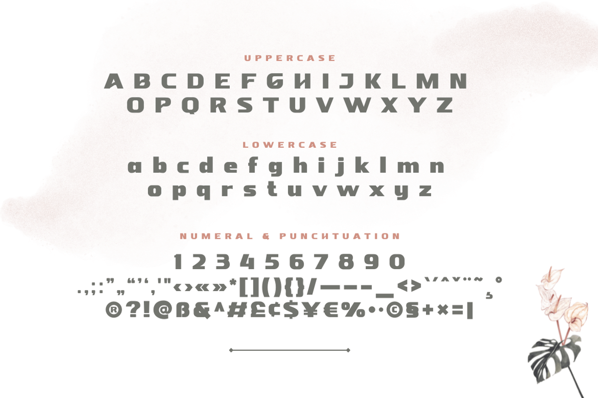 Nebora, a Sans Serif Font by productype1 (Photo 14 of 16)