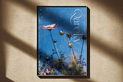 Qareky a Modern & Elegant Serif, a Serif Font by Lettertype Studio (Thumbnail 15 of 20)