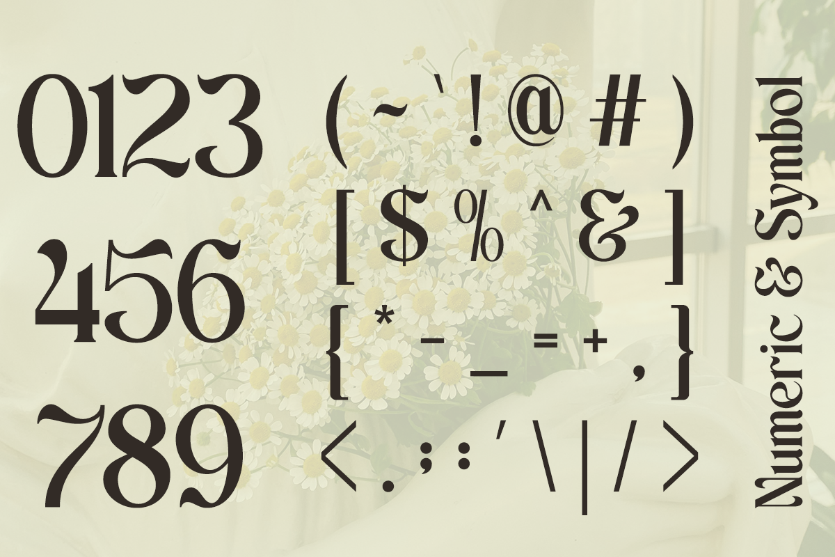 Scales - Aesthetic Ligatures Serif, a Serif Font by Say Studio (Photo 13 of 13)