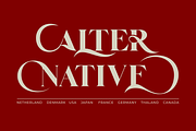 Palm Vintage, a Serif Font by zaaintype (Thumbnail 5 of 11)
