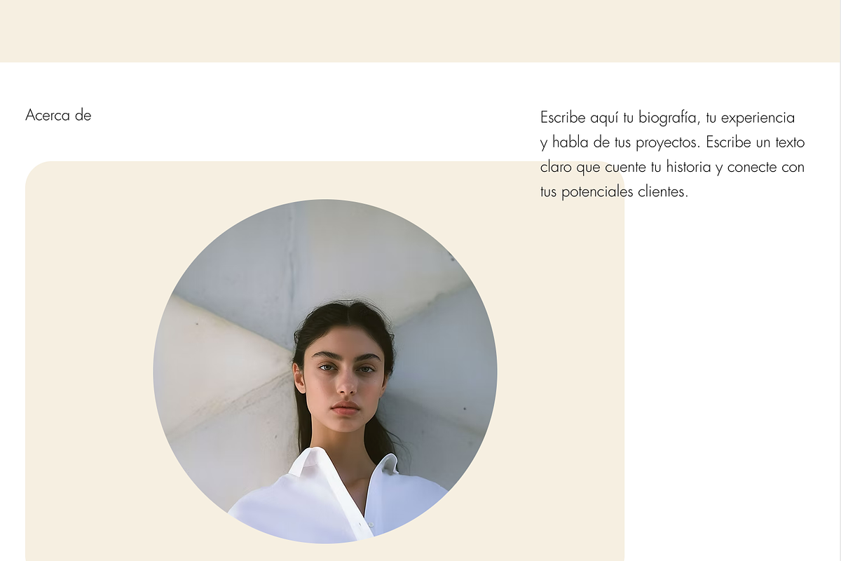 Portfolio Website Template preview 5
