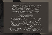 Coastal Dreams, a Script Font by operatype.co (Thumbnail 10 of 15)