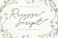 Ranessa Script