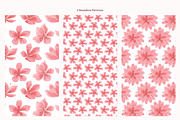 Cherry Blossoms Mini Collections, a Decorative Illustration by An Design (Thumbnail 3 of 3)