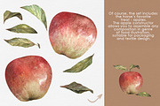Foals Butterflies watercor clipart, an Illustration by FerroDakora (Thumbnail 4 of 7)