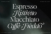 Netsera Calligraphic Serif Typeface, a Serif Font by SilverStag Type Foundry (Thumbnail 2 of 30)