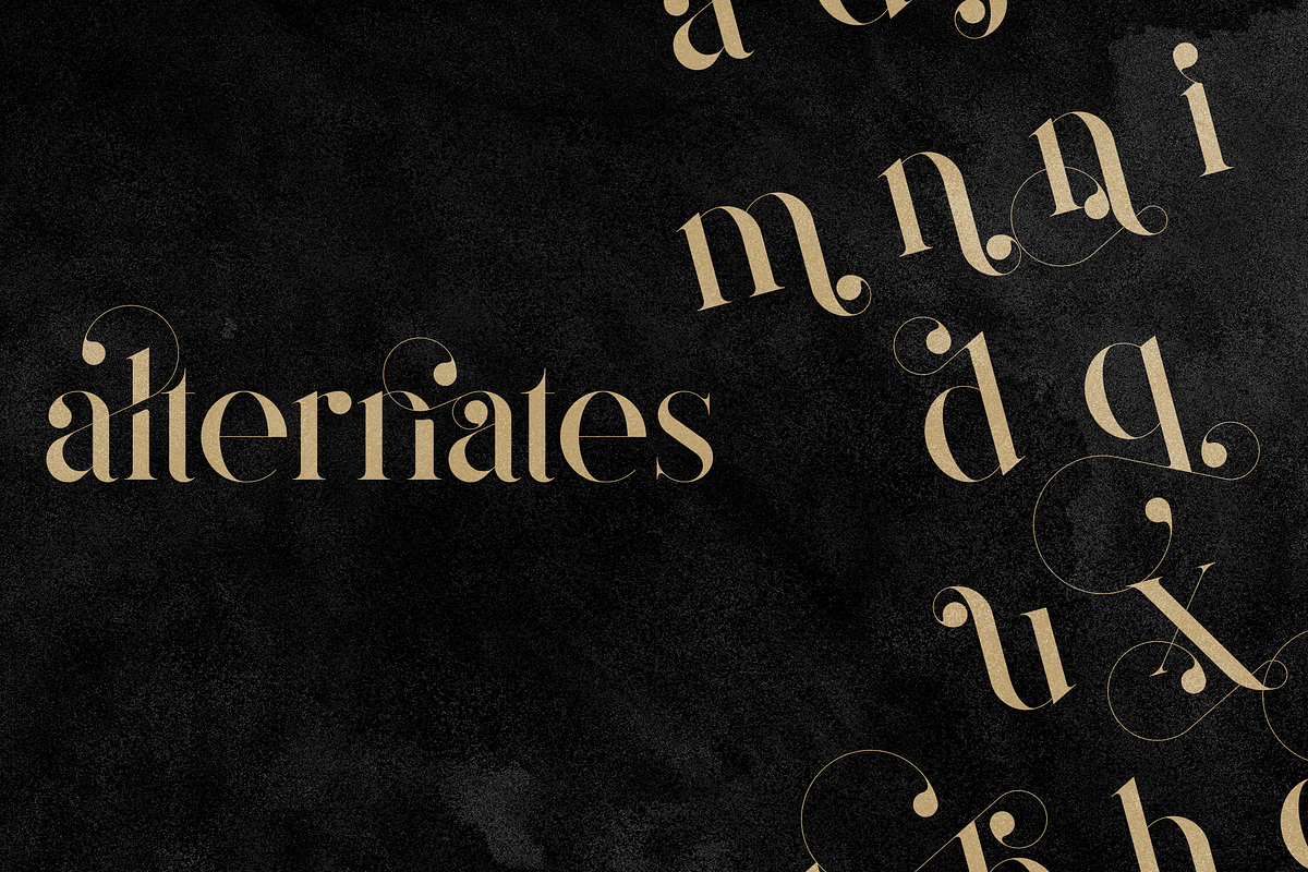 Magoa - Serif Ligature Typeface, a Serif Font by VP Fonts (Photo 5 of 10)