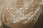 Haniquta | Beauty Calligraphy Script, a Script Font by gracetype_studio (Thumbnail 12 of 12)
