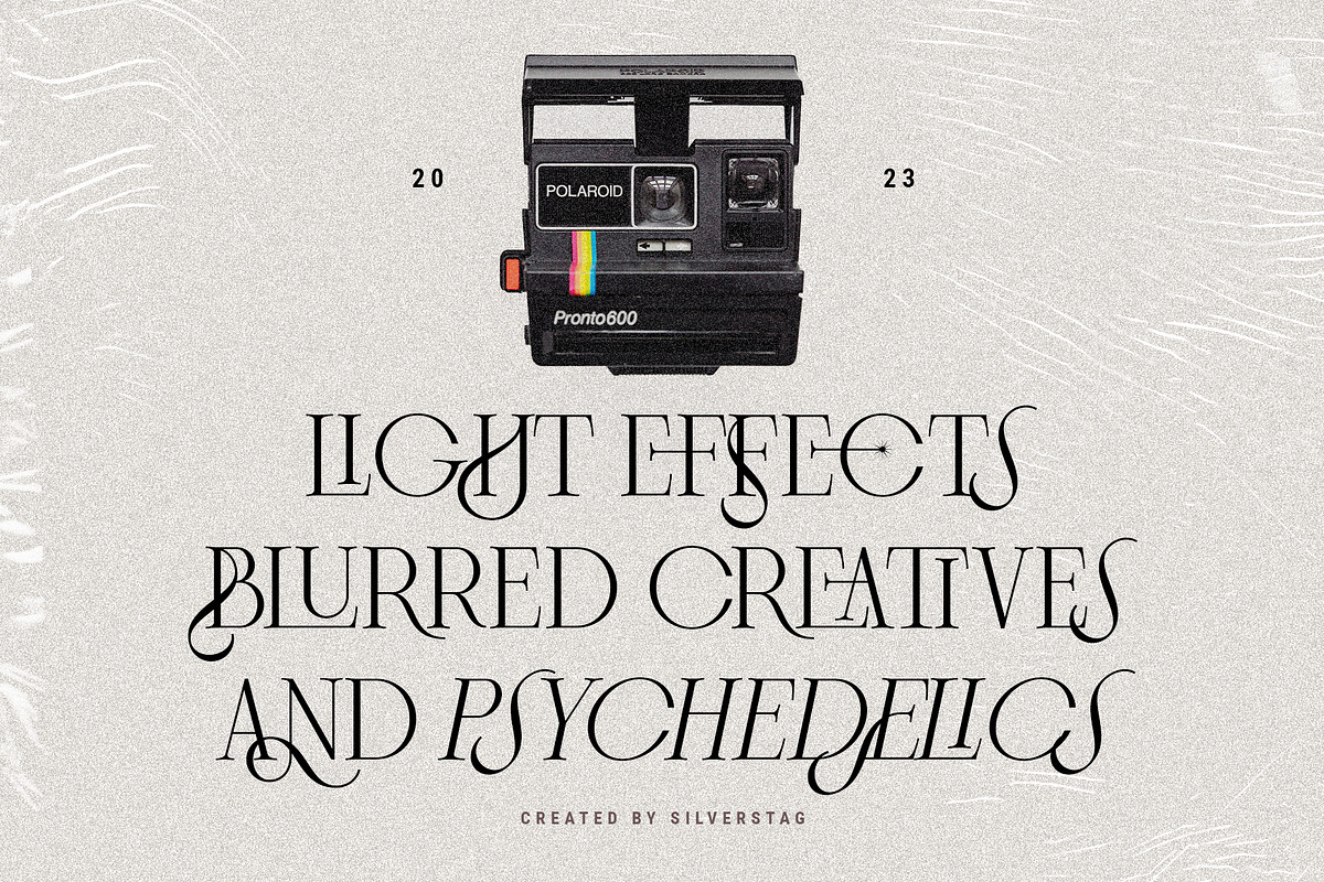 Frosty Garden - Elegant Retro Serif, a Serif Font by SilverStag Type Foundry (Photo 17 of 19)