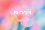 BLOOM - 20 Floral Gradients Set, a Texture Graphic by ghost friend's shop (Thumbnail 5 of 5)