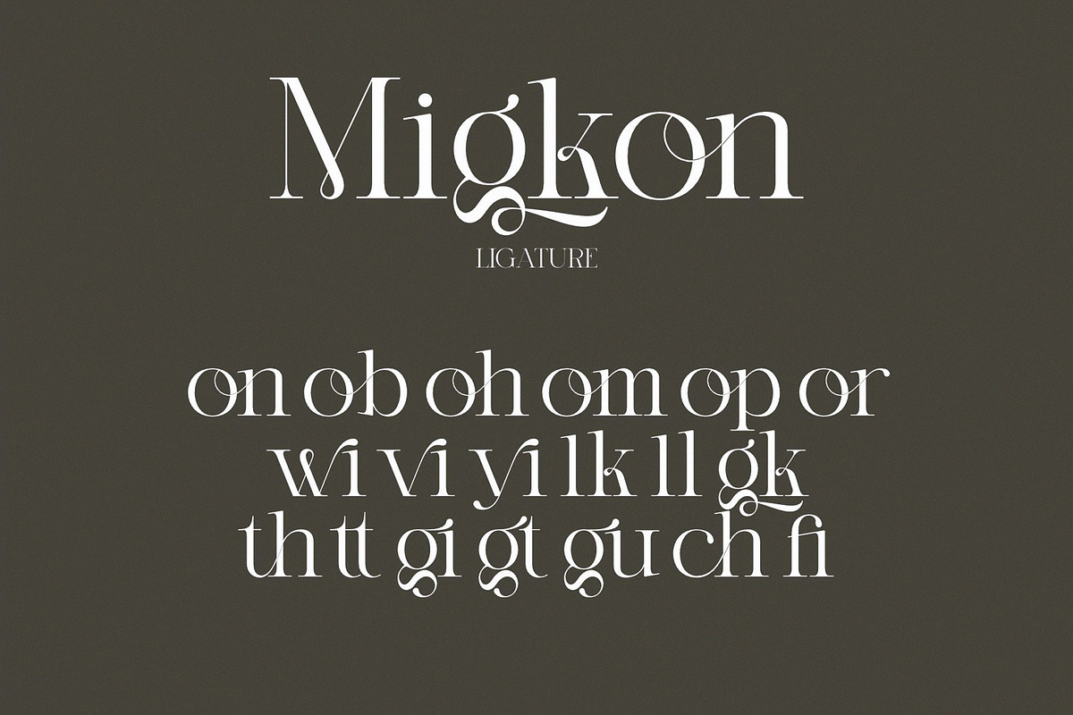 Migkon Modern Ligature Serif, a Serif Font by Alfinart (Photo 7 of 7)