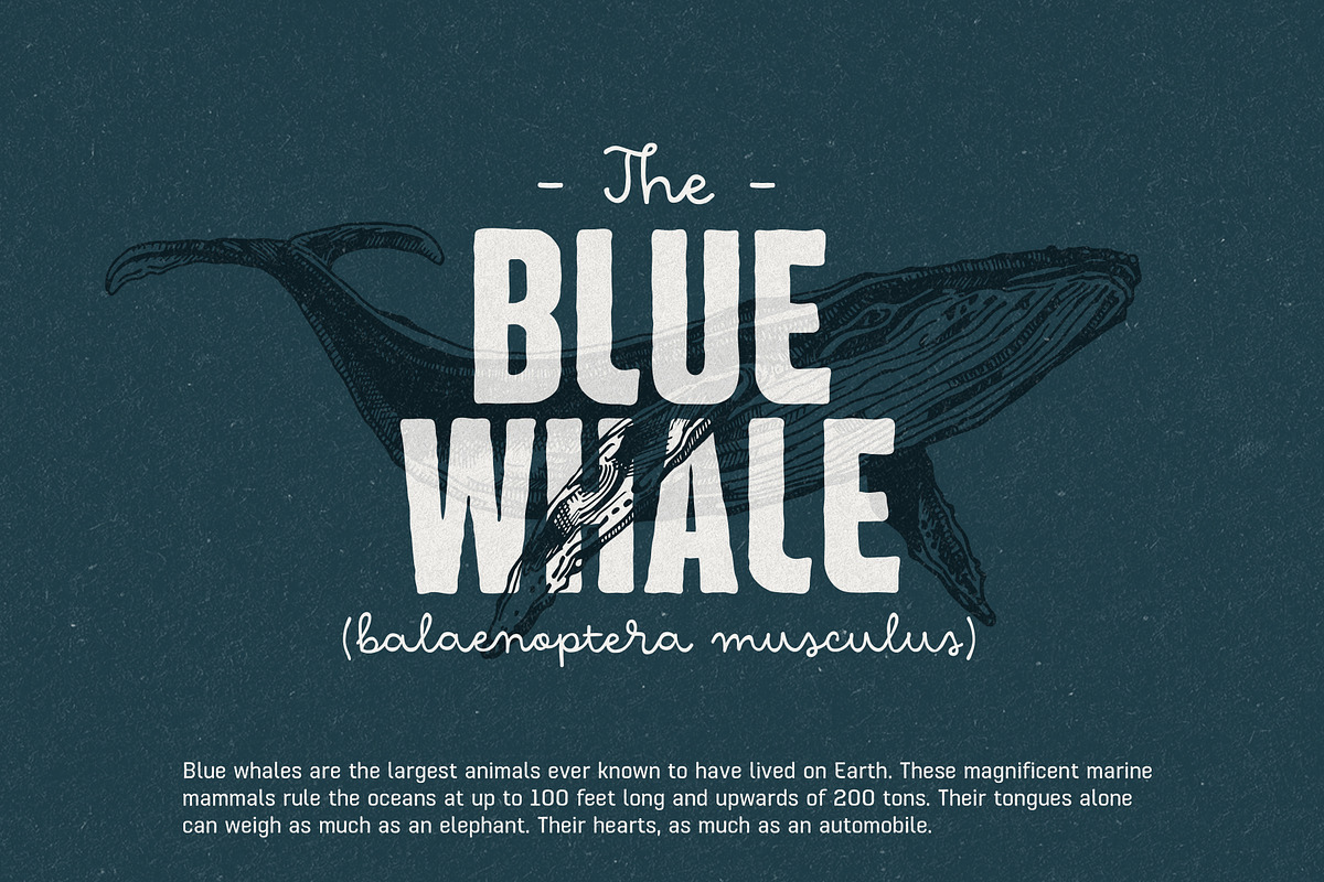 Hawkes Handmade Collection, a Sans Serif Font by Kimmy Design (Photo 6 of 22)
