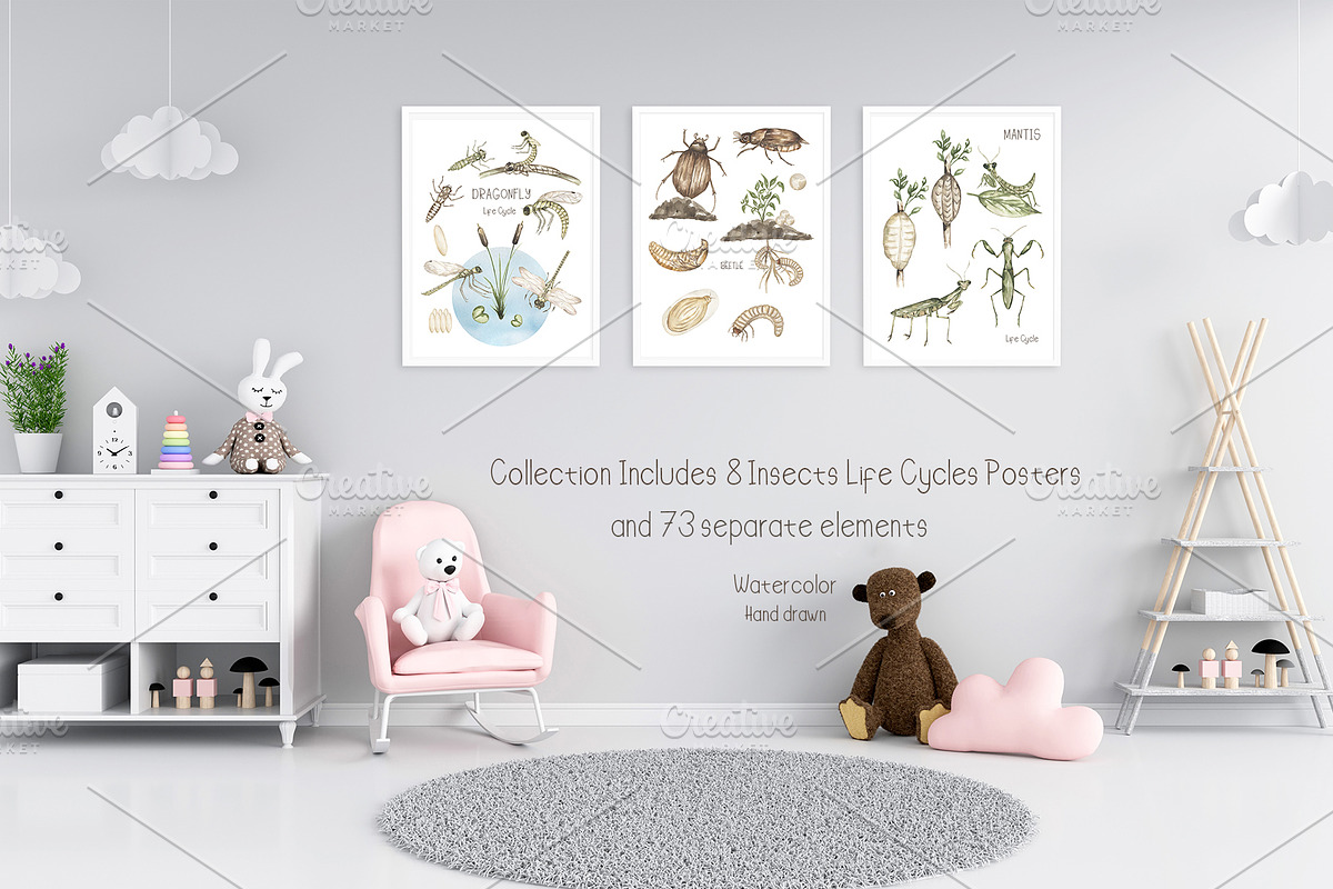 Watercolor Life Cycle Bundle 2, an Education Illustration by MayaNavits (Photo 7 of 14)