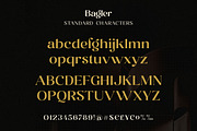 Bagler - Ornamental Display Font, a Serif Font by Ekahermawan (Thumbnail 9 of 13)