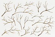 Tree branches. Watercolor DIY set, an Illustration by NataliVA (Thumbnail 3 of 5)