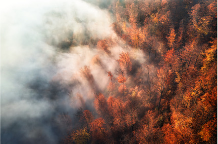 Aerial view of mountain forest in, a Nature Photo by den-belitsky