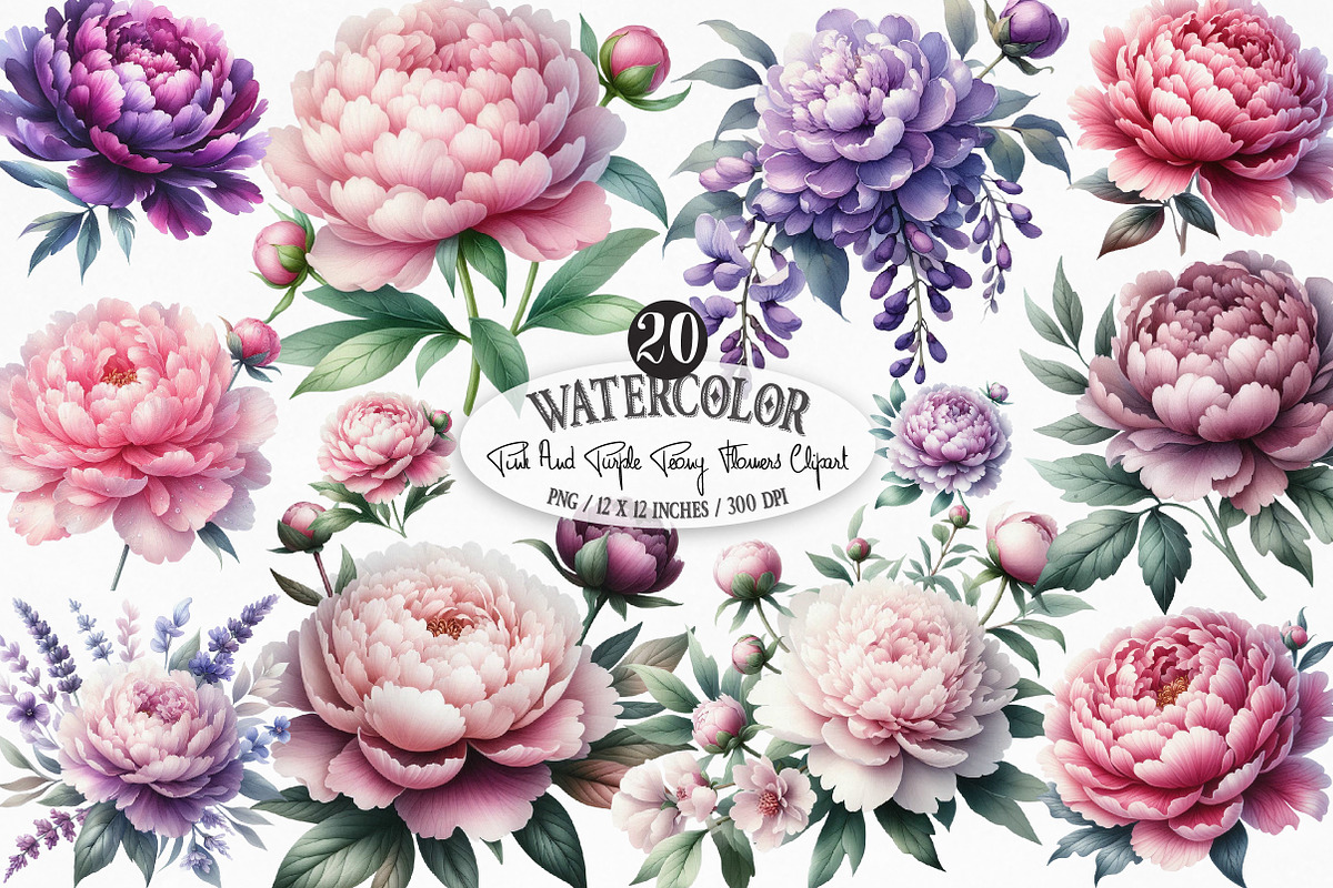 Pink & Purple Peony Flowers Clipart, an Illustration by Designking (Photo 1 of 4)