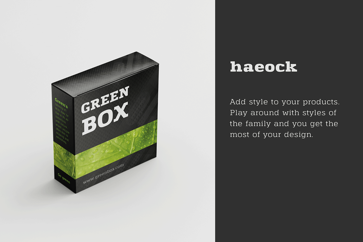 Haeock Extra Bold, a Slab Serif Font by vectalex (Photo 4 of 5)