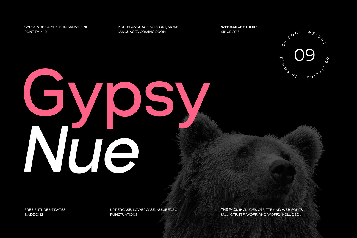 Gypsy Nue, a Sans Serif Font by Webhance Studio (Photo 1 of 10)