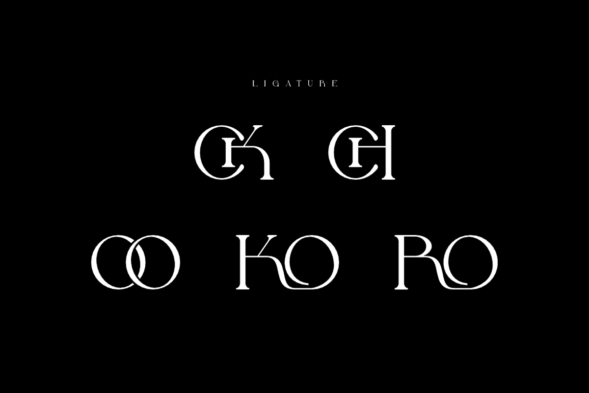Mechooa - Modern Elegant Font, a Serif Font by Iqsiart Studio (Photo 7 of 8)