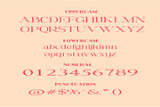 Luis Martinelli - Two Fonts Beauty, a Serif Font by AleraStudio (Thumbnail 7 of 10)