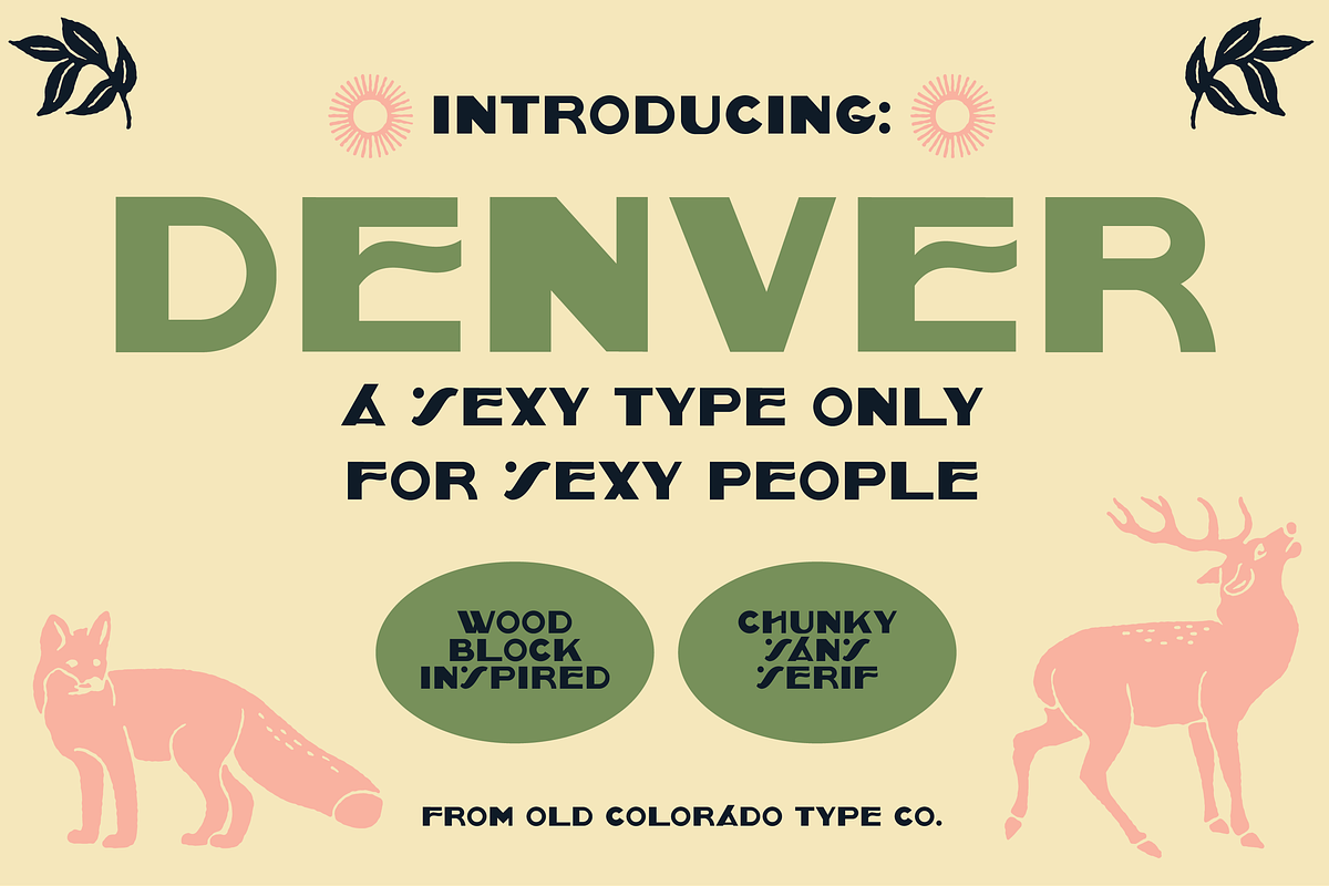 DENVER by Old Colorado Type Co., a Font by Old Colorado Type Co. (Photo 1 of 3)