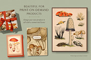 75 Vintage Mushroom Ephemera Artwork, a Decorative Illustration by The Object Atlas (Thumbnail 3 of 7)