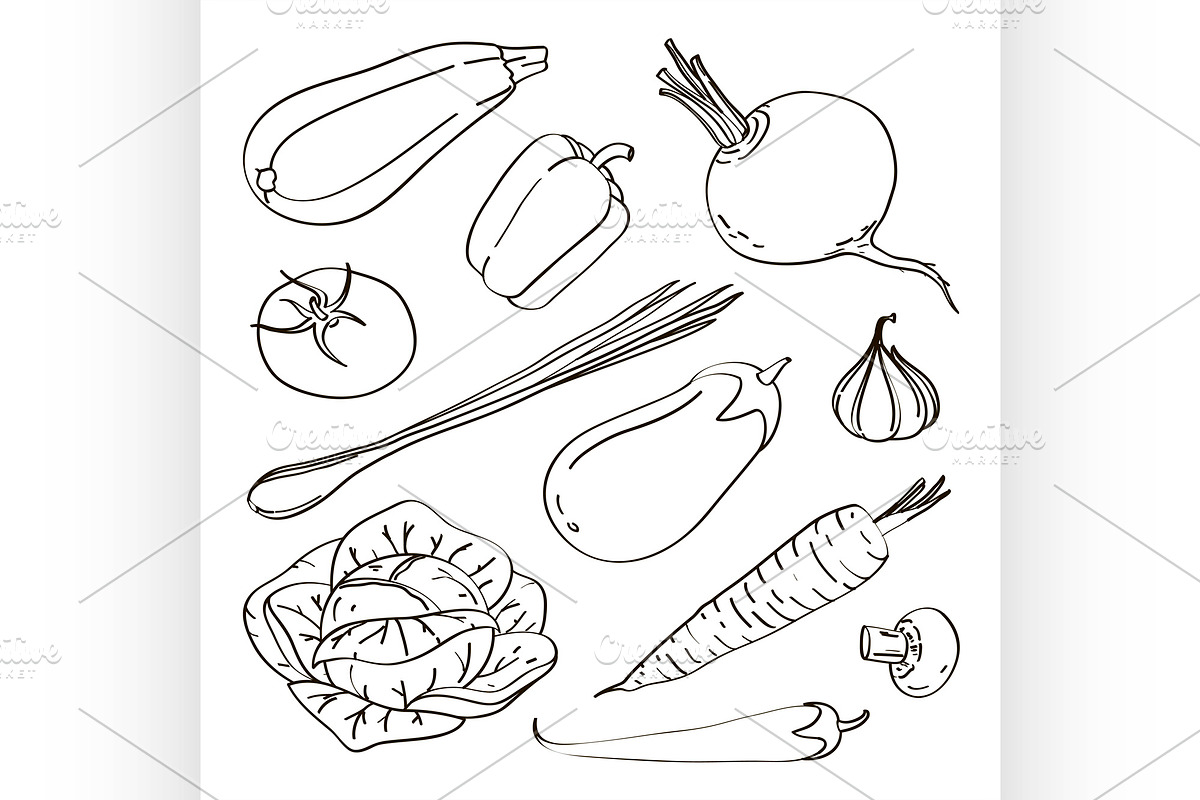 Mixed Vegetable - Vegetable Isolated, a Food Illustration by Netkoff