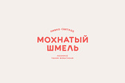 Nevada Retro Hand-Drawn Display Font, a Handwritten Font by Artcoast Std. (Thumbnail 5 of 18)