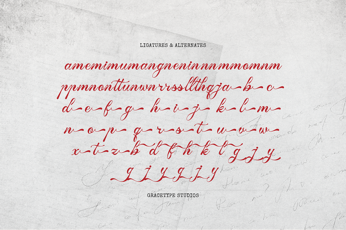 Tanya Kata | Handwritten Script, a Script Font by gracetype_studio (Photo 12 of 12)