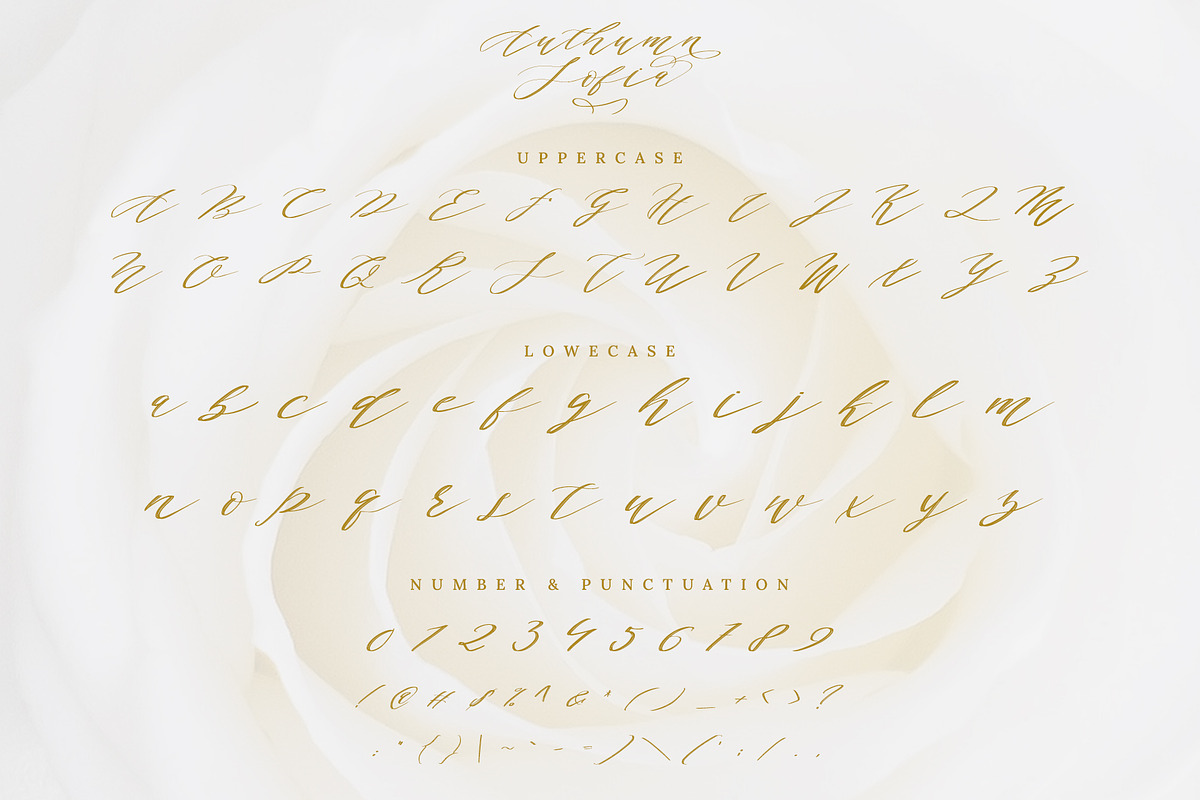 Authumn Sofia | Calligraphy Font, a Script Font by Analogous (Photo 11 of 16)