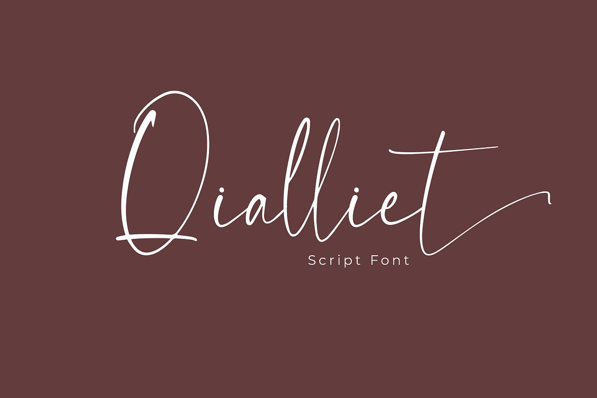Qialliet Minimalist Script Font, a Script Font by NTC Graphic (Photo 1 of 9)