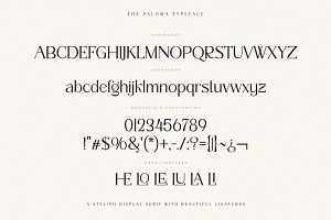 The Paloma - Modern Serif Font