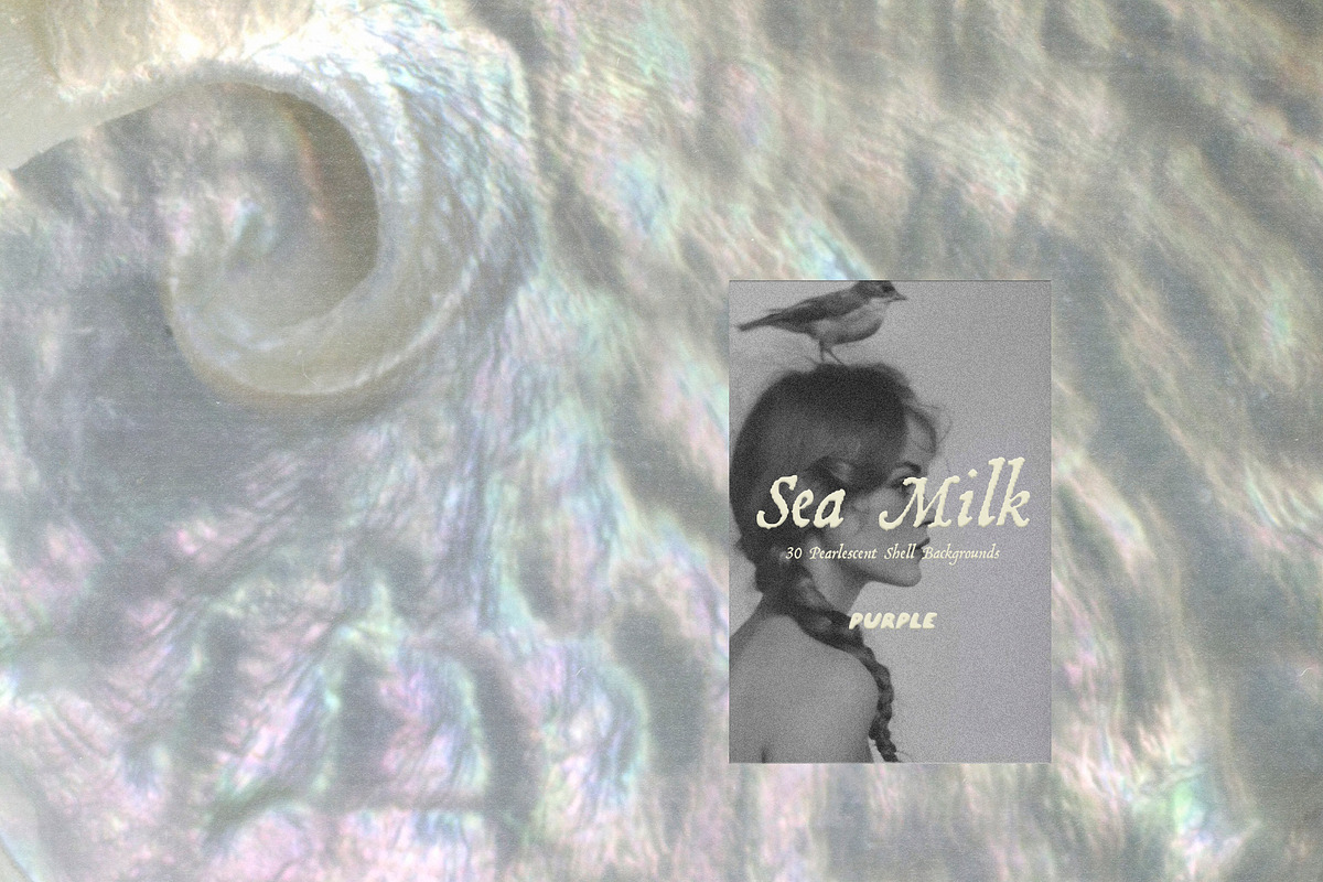 Sea Milk: Sheashell Backgrounds, a Background Graphic by Purple (Photo 9 of 10)