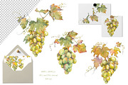 Watercolor Grapes Clipart Set, a Food Illustration by Jeanna Draw (Thumbnail 6 of 12)