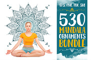 530 Vector Mandala Ornaments, an Animal Illustration by pixaroma (Thumbnail 55 of 55)