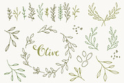 Olive Branch Clip Art & Vectors, a Graphic by The Pen and Brush (Thumbnail 3 of 5)