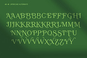 Rosela Elegant Serif Typeface, a Serif Font by Font Kingdom (Thumbnail 5 of 10)