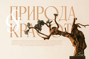 Rosevine – Cyrillic Version, a Serif Font by Hakara Type (Thumbnail 4 of 12)