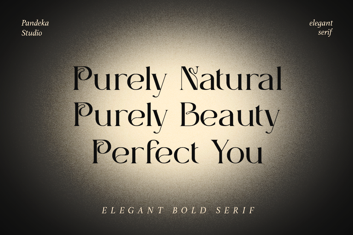 Herva - Decorative Elegant Serif, a Serif Font by Pandeka Studio (Photo 10 of 12)