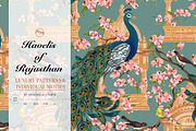 Havelis of Rajasthan, a Decorative Illustration by MenoMelo Studio (Thumbnail 1 of 8)