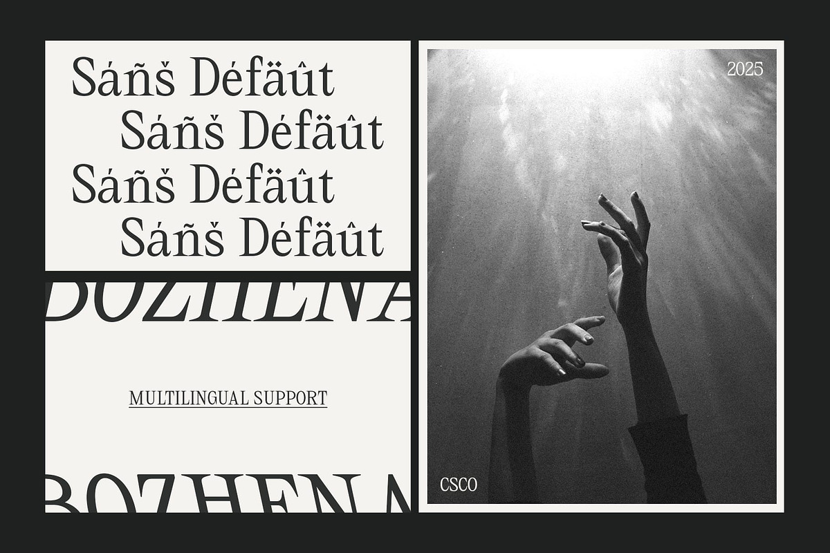CS Bozhena – Contemporary Font, a Serif Font by Craft Supply Co. (Photo 5 of 8)