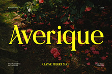 Averique Classic Modern Serif Font