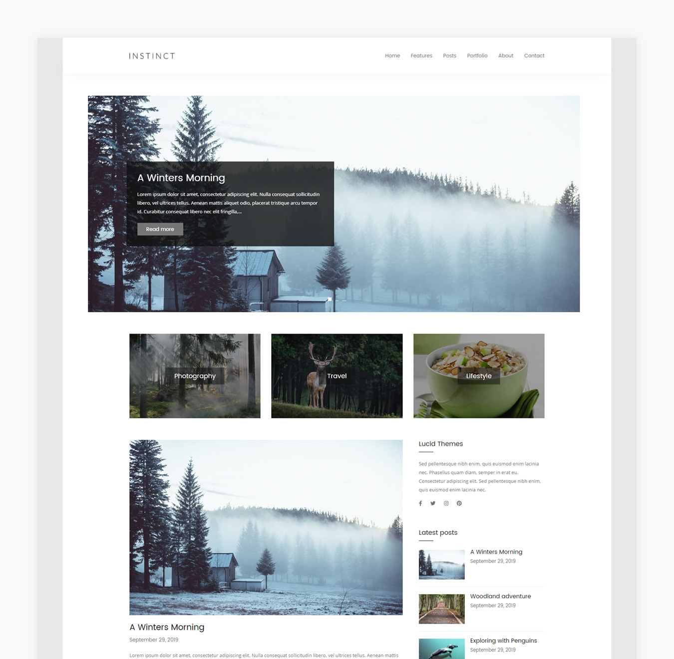 Instinct - WordPress Blog & Portfolio Theme