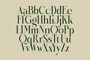 Karosa Modern Serif Display Font, a Serif Font by timelesstype.co (Thumbnail 10 of 20)