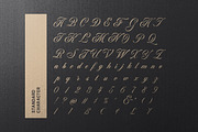Regality - Luxury Romance Script, a Script Font by Bale Type (Thumbnail 9 of 10)