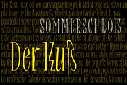 Repyakh Serif type family, a Serif Font by LevType (Thumbnail 11 of 14)
