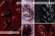 Dark Floral & Mineral Stock Photos, a Nature Photo by Tale.Haus (Thumbnail 11 of 17)